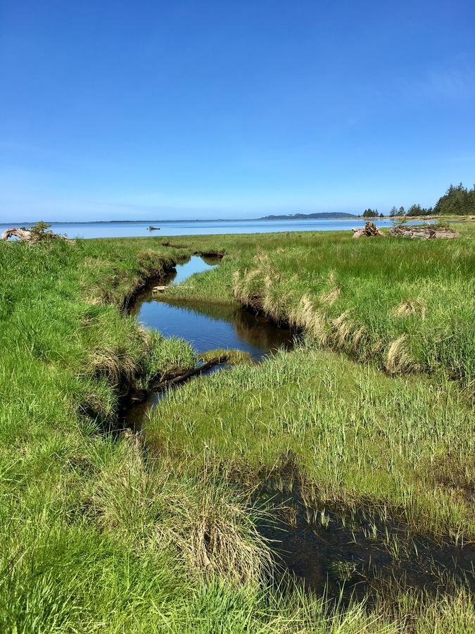 Tillamook Bay City Rv Park Buitenkant foto